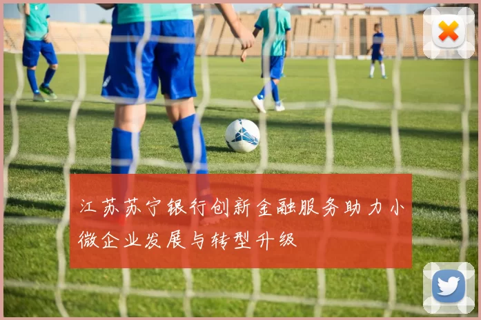 江苏苏宁银行创新金融服务助力小微企业发展与转型升级