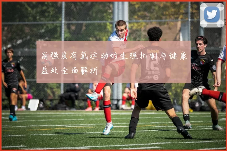 高强度有氧运动的生理机制与健康益处全面解析